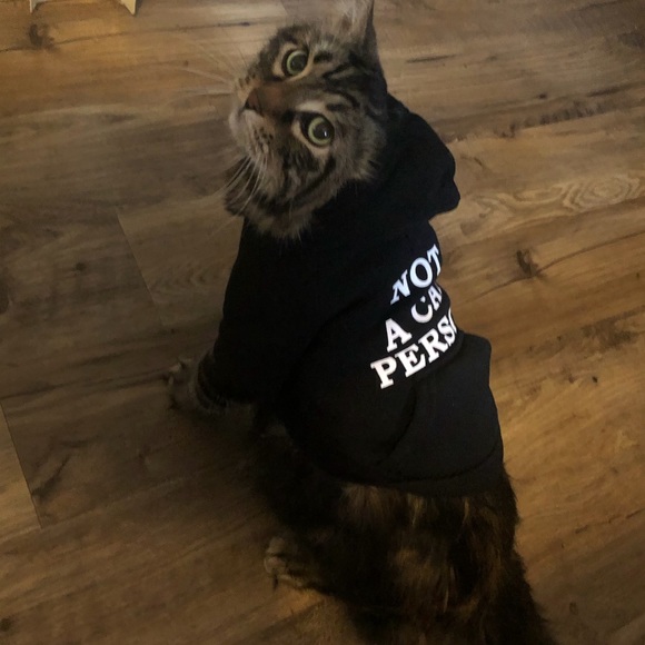 Meet Nicky - Picture 3 of 3